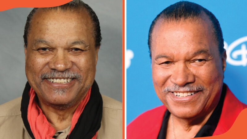 Hanako Williams: What We Know About Billy Dee Williams’ Daughter